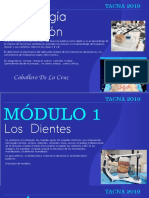 Morfología y Función Tacna TEMARIO PDF