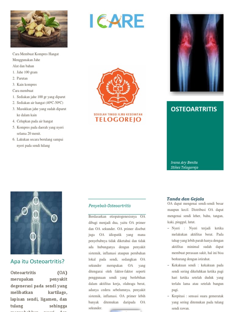 Leaflet OA | PDF