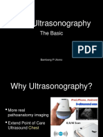 08 LUNG ULTRASONOGRAPHY Dr. Bambang PU PDF