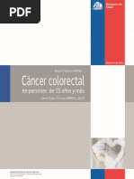 Guias Cancer Colorectal