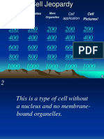 Unit 1 Cell - Jeopardy