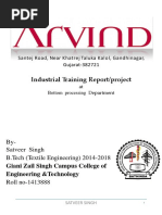 Satveer Project Report