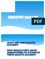 Aquatic Hazards and Drowning