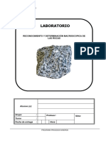 LAB Rocas Igneas