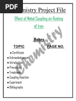 Mechanism and Prevention of Iron Rusting | PDF | Rust | Iron