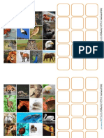 Collage Pictogramas-Fotografías Animales
