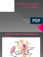 Sistem Kardiovaskuler Intrauterin