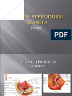 histologi sistem reproduksi.ppt