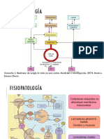 Fisiopatologia Sindrome de Leigh