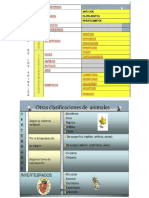 Clasificacion Reino Animal