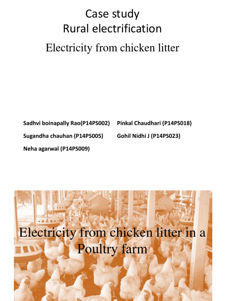 Electricity From Chicken Litter: Case Study Rural Electrification | PDF ...