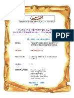Nelida Odontología Trabajo Colaborativo IU PDF