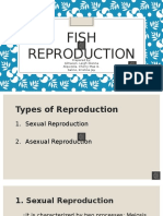Fish Reproduction: Prepared By: Almacen, Leigh Glenna Alquizola, Cherry Mae G. Salino, Kristine Jay