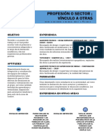 MODELO DE CV.docx