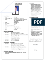 Curriculum Vitae