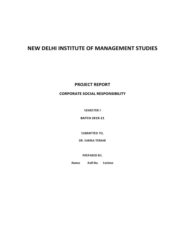 CSR Report Format 2019 | PDF | Corporate Social Responsibility | Non ...