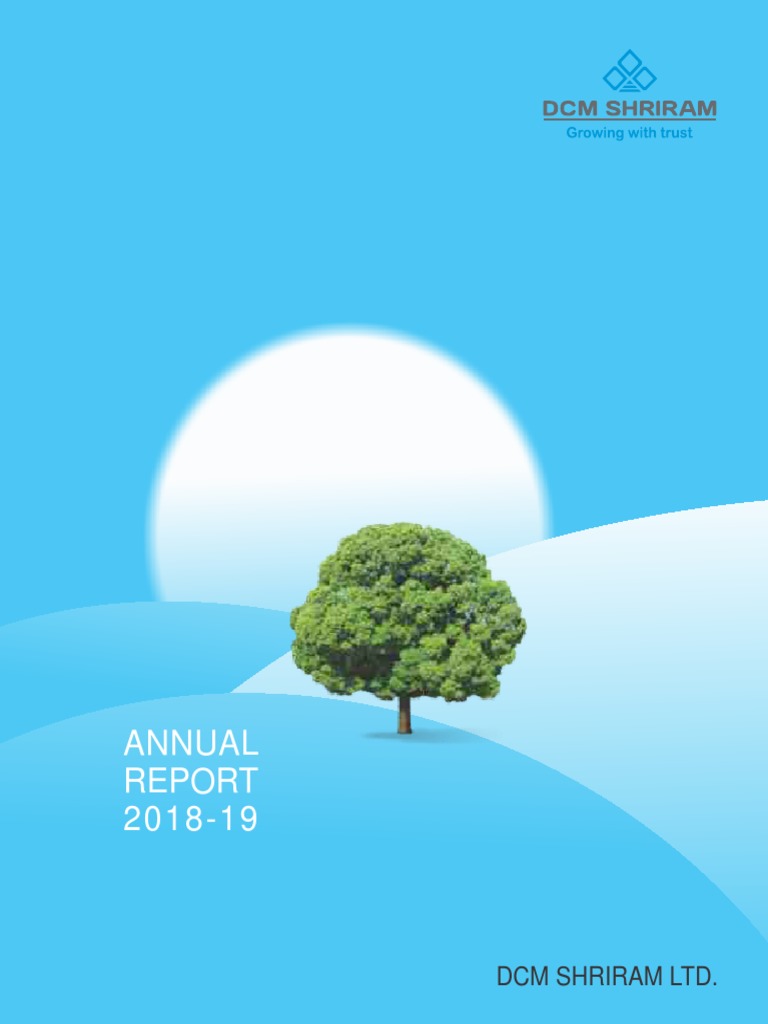 Annual Report 2018 19 Pdf Earnings Economies