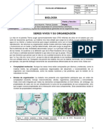 Ficha de Aprendizaje III Año