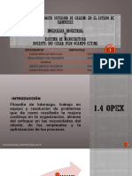 EXPOSICION-OPEX.pptx