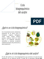 Ciclo biogeoquímico del azufre: procesos, importancia y alteraciones