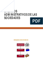 Órganos Societarios PDF