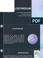 Clostridium