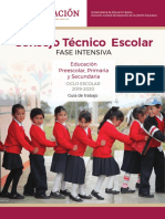 420846907-Consejo-Tecnico-Escolar-SEP.pdf