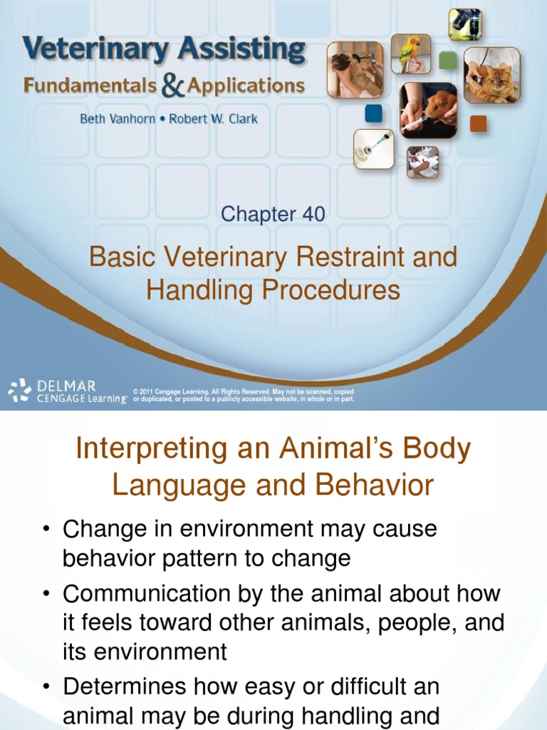 Basic Veterinary Restraint and Handling Procedures | PDF | Knot ...