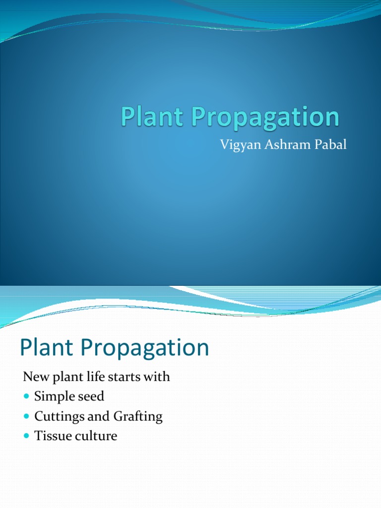 Agriculture Nursery Plant Propagation and Nursery Management