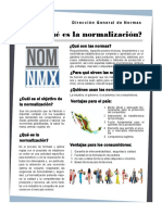 NORMALIZACIÓN.pdf