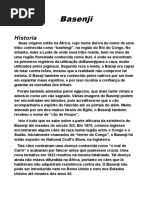 Sem Título 1 Basenji