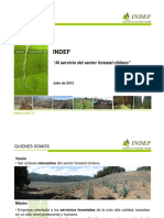 presentacion indef APL (Jul_13).pdf