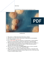 The Picture Is of Mycobacterium Tuberculosis Colonies.: Acid-Fast Rod Strict Aerobe