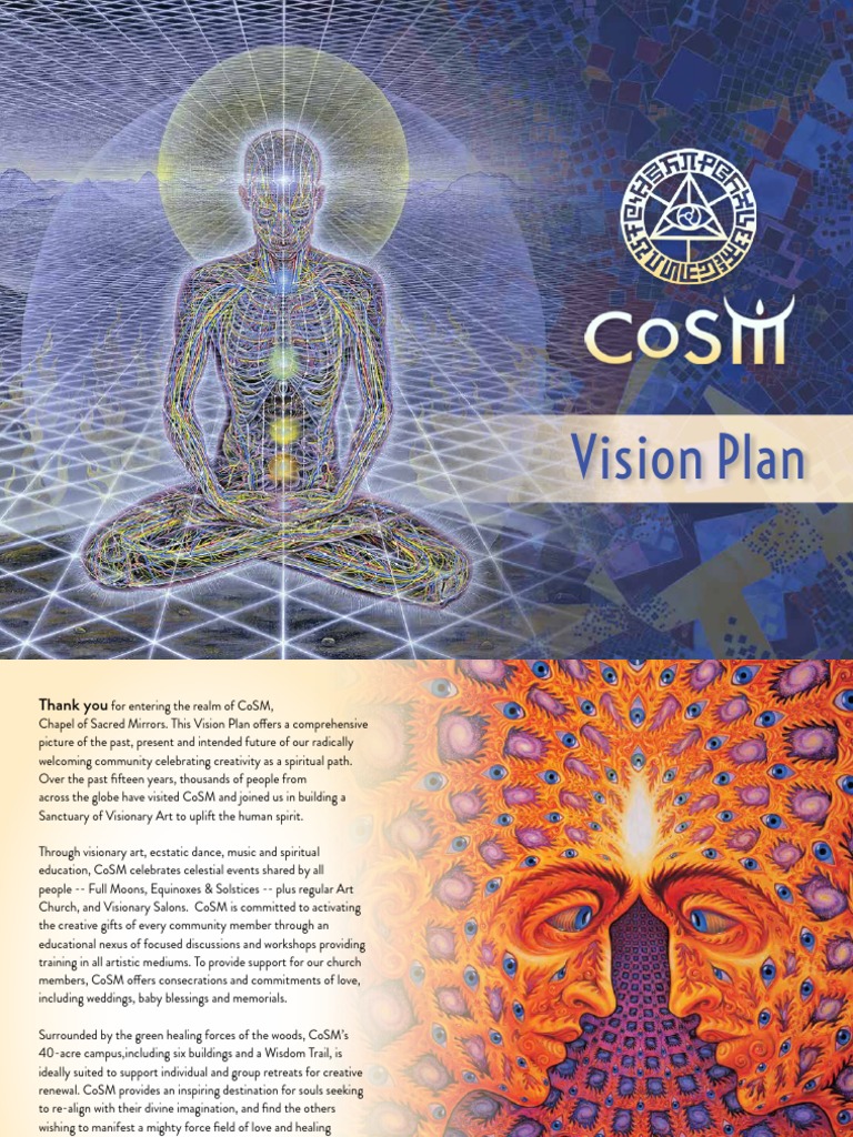 CoSM-Vision Plan | PDF