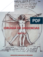 Gatcu PDF