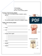 The Excretory System Student Guided Notes