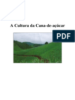 APOSTILA - A Cultura da Cana-de-açúcar.pdf