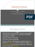 Reproductive System: Lecture by DR M. Sohaib FOR Ms Medical Physics