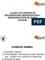 7.sanidad Animal