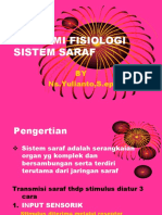 Anatomi Fisiologi Sistem Saraf