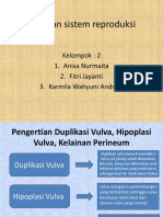 Kelainan Sistem Reproduksi