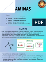 Aminas 2