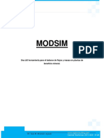 Manual-Modsim.pdf