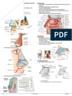 (ENT) 1b02 - Anatomy and Physiology of The Nose and Paranasal Sinuses