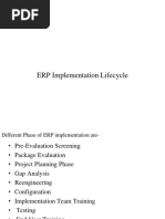 ERP Implementation