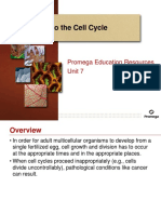 Introduction-to-the-Cell-Cycle.pptx