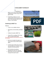 Rice Morphology and Growth Stages Guide | PDF | Rice | Seedling