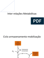 Inter Relações Metabólicas