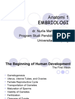 Embryologis 1