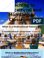 Teaching in the Multi Lingual Classroom